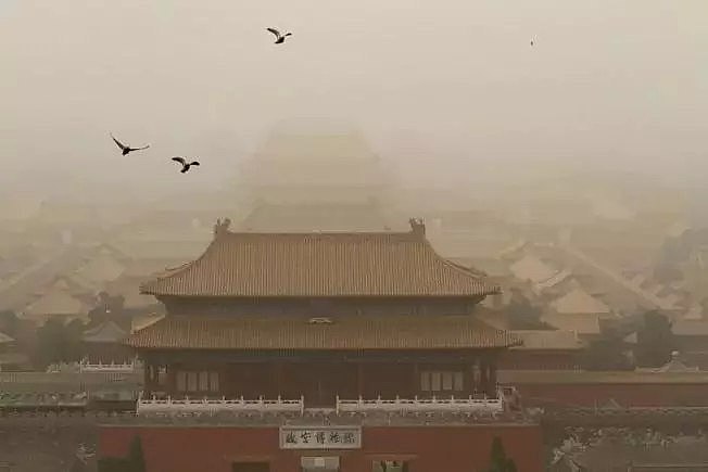 中国竟然干掉一片千年沙漠！全世界都坐不住了（组图） - 12