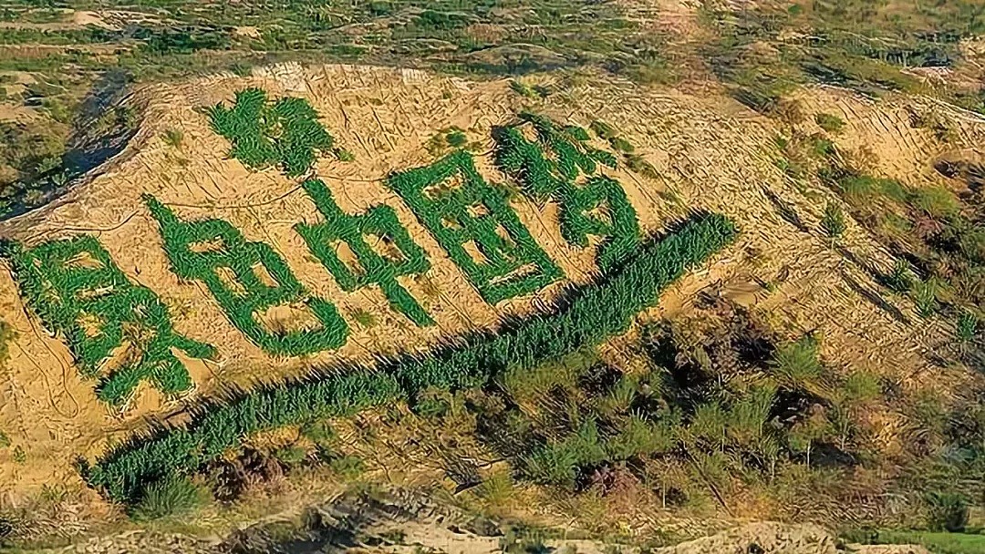 中国竟然干掉一片千年沙漠！全世界都坐不住了（组图） - 35