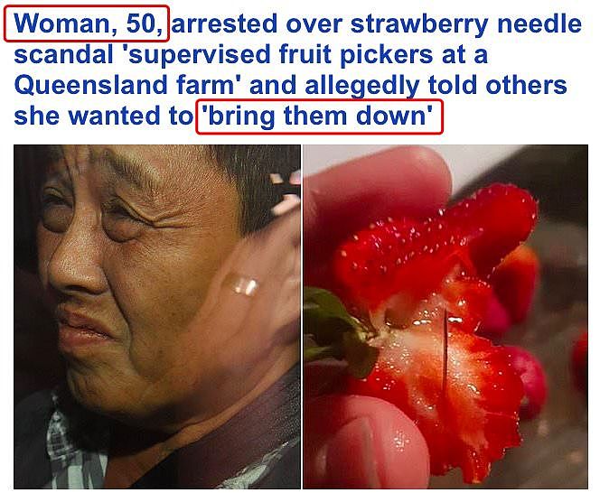澳草莓藏针疑犯动机曝光！就因为这件事！亚裔老板哭诉：惨亏$50万！（图） - 2
