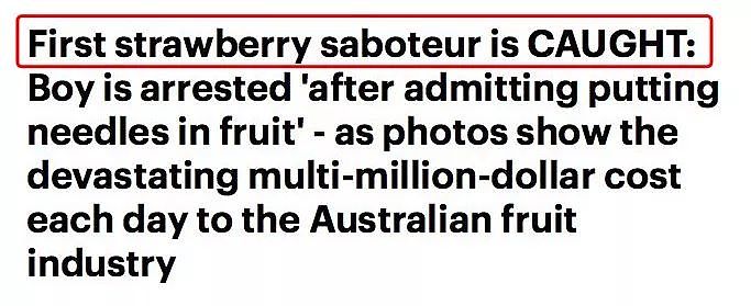 澳草莓藏针疑犯动机曝光！就因为这件事！亚裔老板哭诉：惨亏$50万！（图） - 10