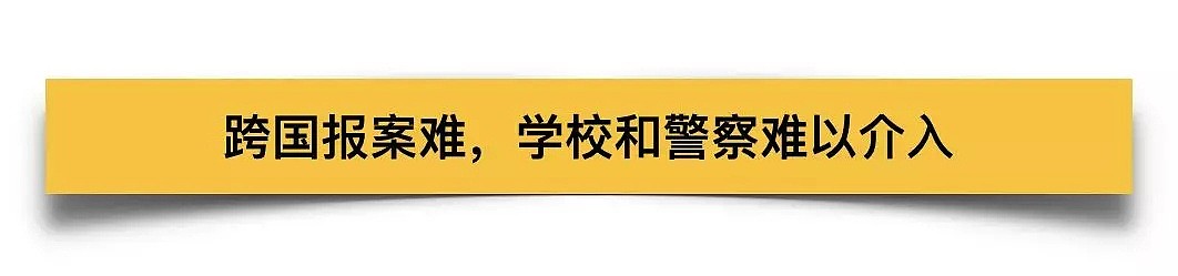 犯罪天才？20岁中国留学生涉嫌抄袭，家暴，诈骗（组图） - 19