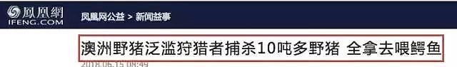 为抢鲍鱼，华人大妈顶着大浪，全副武装，累个半死！上帝太偏心！好东西都给澳洲了！（组图） - 47