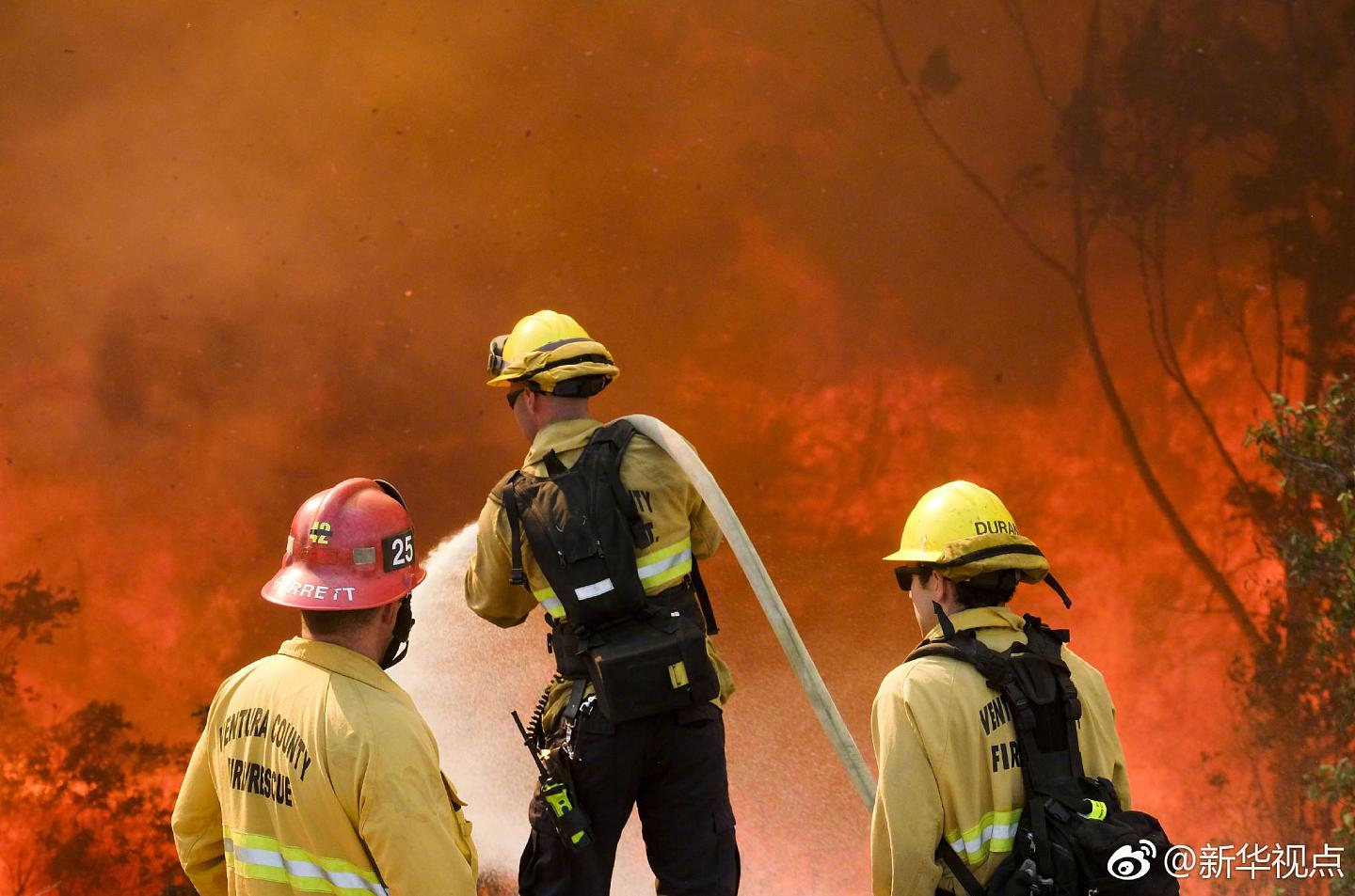 44人死！加州山火 遍地尸袋 25万人大撤退 中领馆紧急通知（组图） - 7