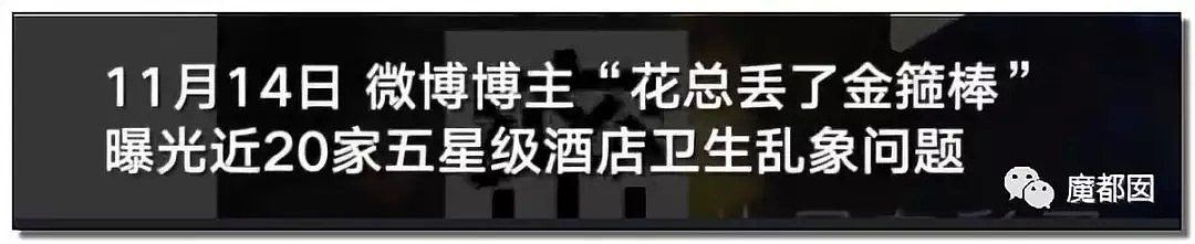 恶心突发！一块浴巾擦马桶再擦口杯！五星酒店几乎全军覆没！（组图/视频） - 7