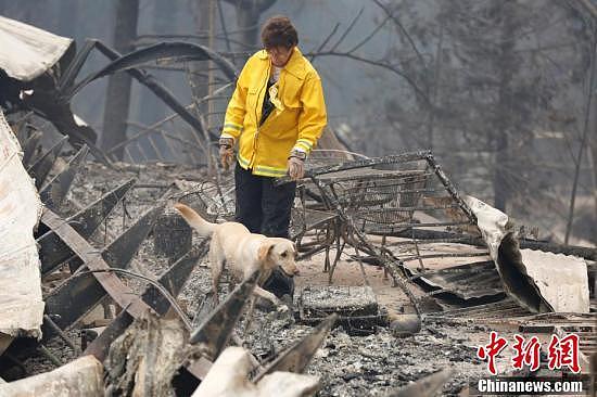 美国加州山火遇难人数不断上升 寻尸犬进入天堂镇