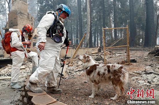 美国加州山火遇难人数不断上升 寻尸犬进入天堂镇