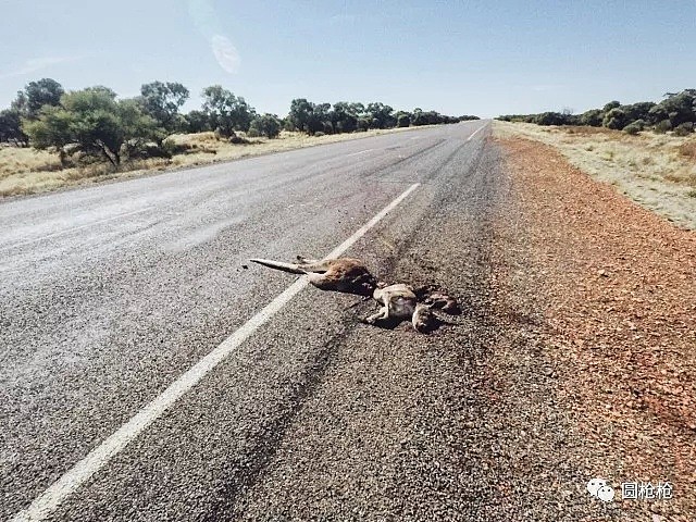 在澳洲outback最后的日子 - 23