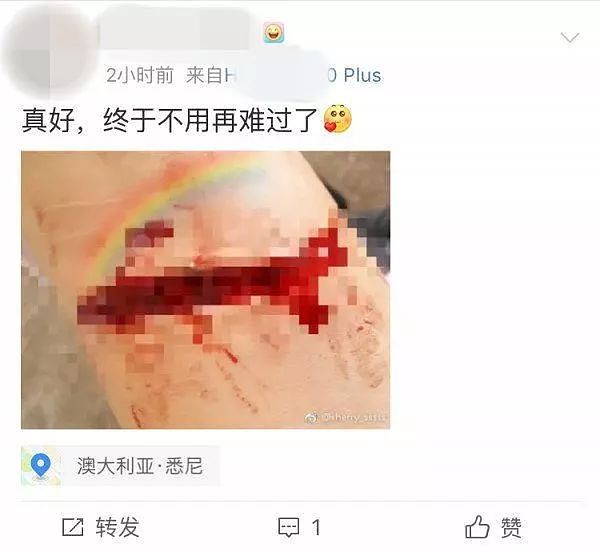 悲痛！中国留学生在澳坠楼身亡，刚来不久！超级学霸，他究竟经历了什么…（图） - 28