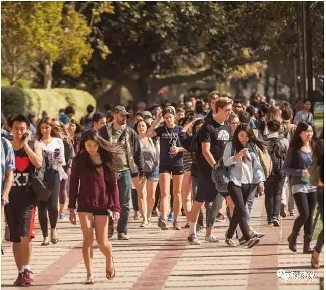 纪录片跟踪哈佛、哥大、牛津三位中国学生，光鲜背后全是辛酸……