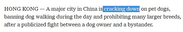 西方媒体的脑回路再次突破想象：“中国共产党在镇压狗”……（组图） - 2