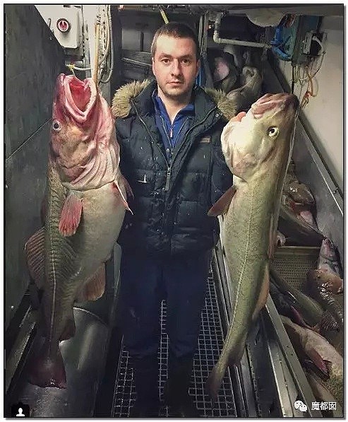 俄罗斯渔夫网上捕捞到的深海怪物，惊吓全世界！（组图） - 1
