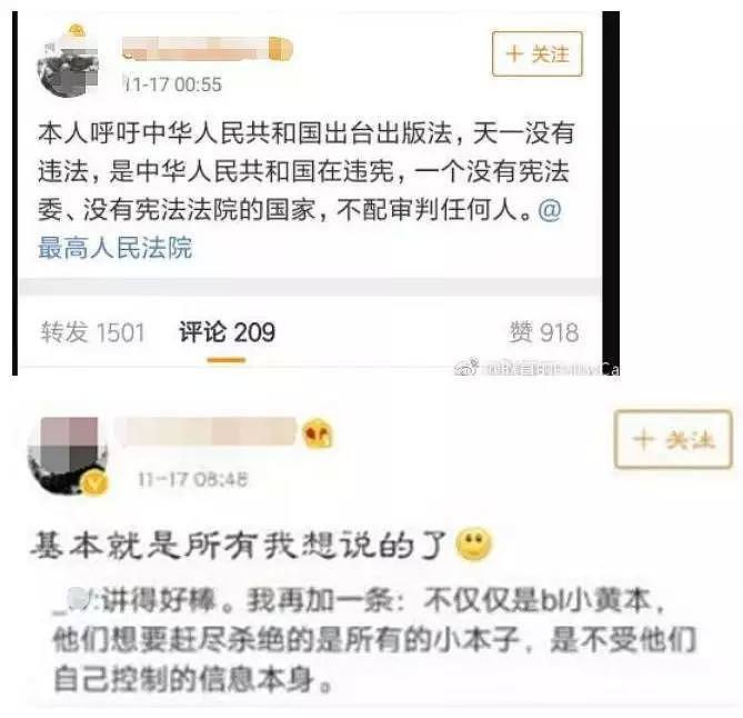 女子写淫秽小说被判入狱10年，对还是错？官媒说话了…（组图） - 20