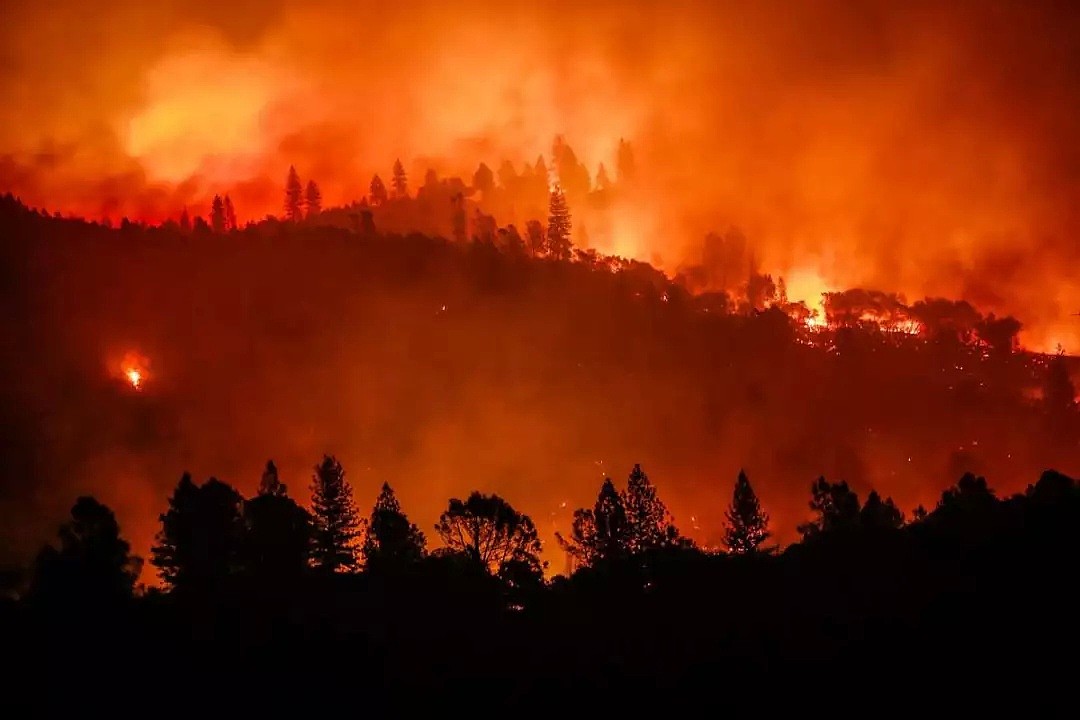 奇迹！美国校车司机从加州山火中救出22个孩子，感动全美（组图） - 7
