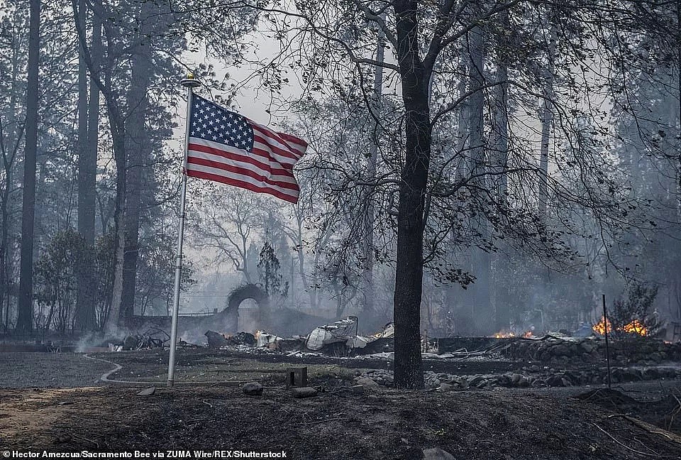 奇迹！美国校车司机从加州山火中救出22个孩子，感动全美（组图） - 24