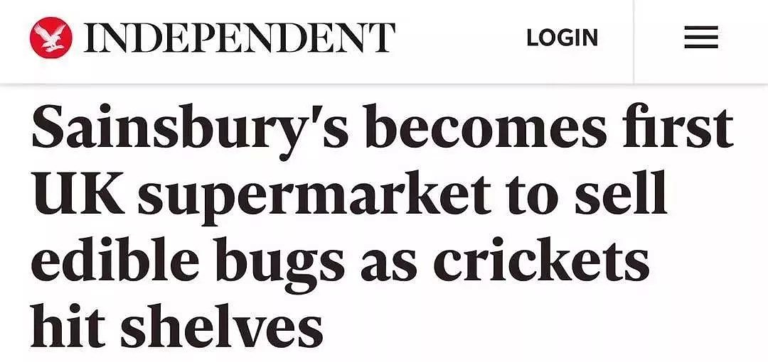 英国大超市开卖食用蟋蟀刷屏英媒，英国人竟如此反应！（组图） - 1