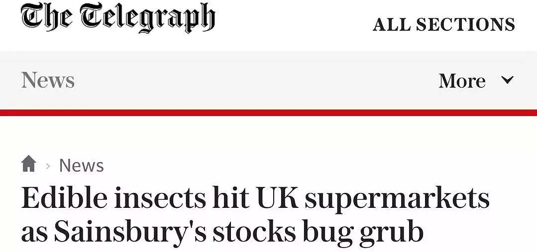 英国大超市开卖食用蟋蟀刷屏英媒，英国人竟如此反应！（组图） - 2