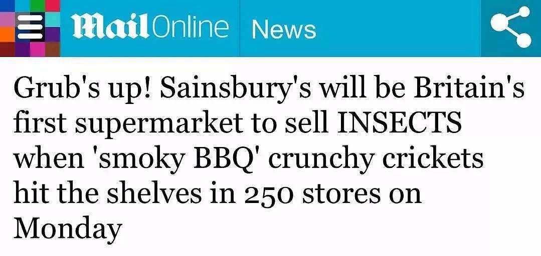 英国大超市开卖食用蟋蟀刷屏英媒，英国人竟如此反应！（组图） - 3