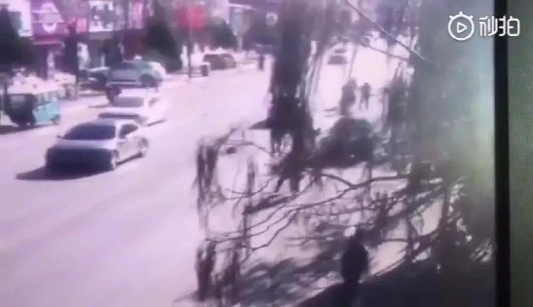辽宁小学外奥迪冲撞学生群，已致5死19伤（视频/组图） - 1