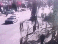 辽宁小学外奥迪冲撞学生群，已致5死19伤（视频/组图）
