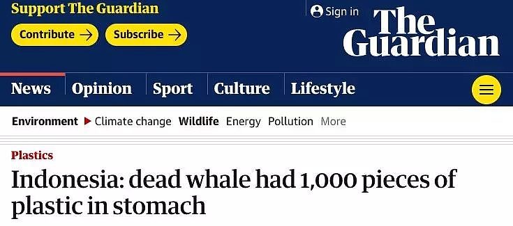 又有鲸鱼搁浅死亡，剖开肚子后，看到人类最惭愧的一面（组图） - 4
