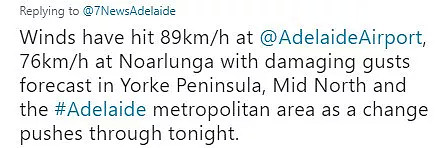 狂风预警！新州风速高达90 km/h！华人区大树拔根而起，悉尼飞机大面积延误！（组图） - 29