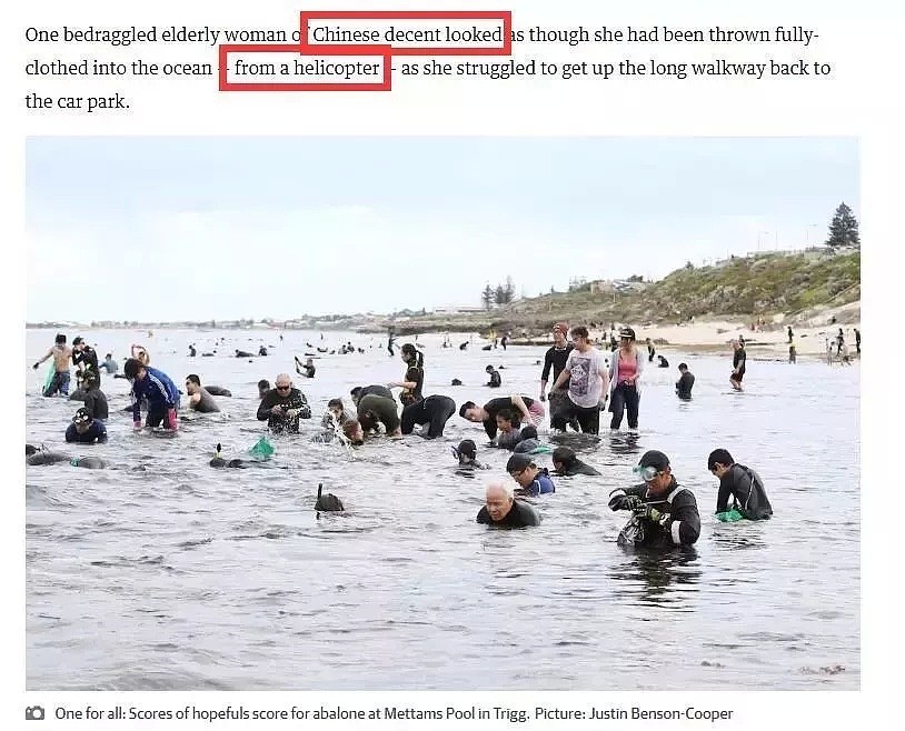 澳洲海滩沦陷！华人一家老小齐上阵抢鲍鱼！中国人的执念老外不懂......（组图） - 10