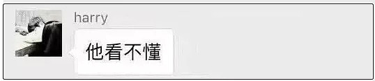 玩微信、造学校…为了对华人钓鱼执法，这些外国人也是拼了！（组图） - 11