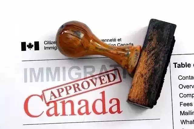 加拿大或取消十年签证？50%发给了中国人，该签证已沦为＂工具＂...（组图） - 4