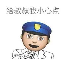 又有华人被警察押下飞机...航空从业者揭露，坐飞机千万别“任性”！（图） - 8