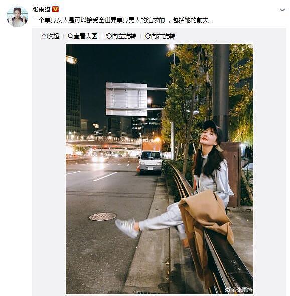 闪婚闪离闪复合，张雨绮是作还是霸气？