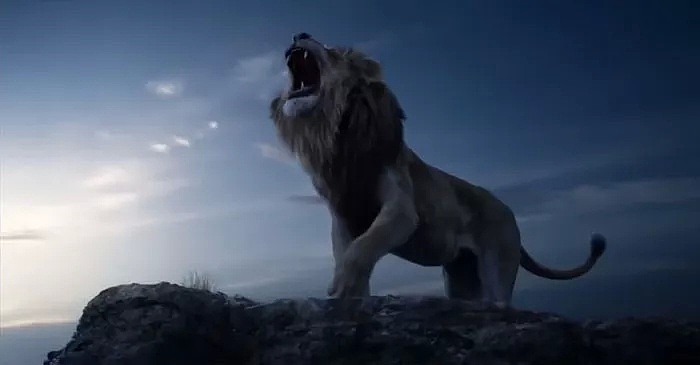 真人版《狮子王》要来了！！！逆天神特效，被辛巴萌哭！（视频/组图） - 11