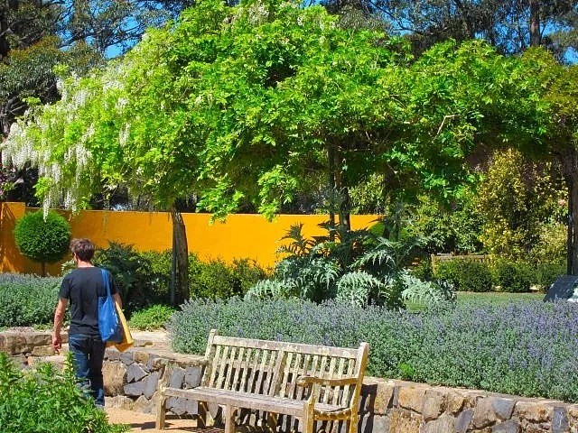 悉尼的春夏可能比你想象中还要花 || 一份超全的悉尼附近秘密花园清单～ - 14