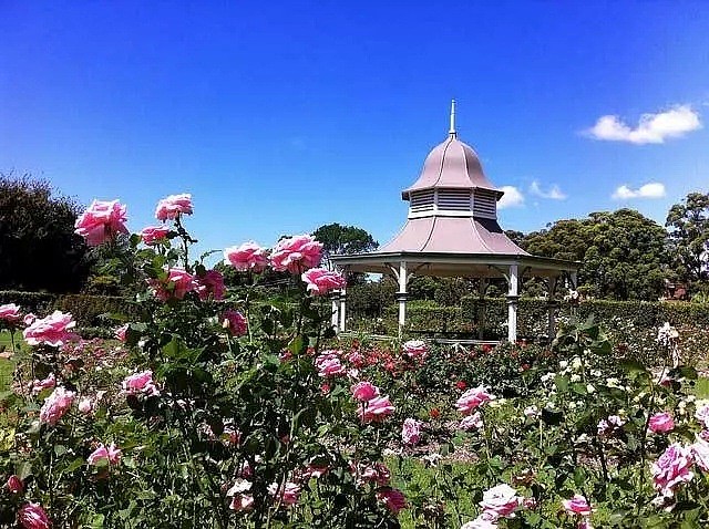 悉尼的春夏可能比你想象中还要花 || 一份超全的悉尼附近秘密花园清单～ - 38