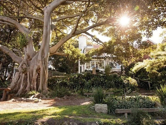 悉尼的春夏可能比你想象中还要花 || 一份超全的悉尼附近秘密花园清单～ - 43