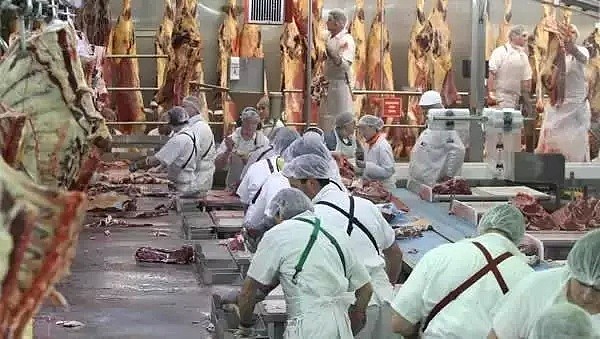 中国人为啥都觉得澳洲猪肉难吃：这回总算找到原因了。。（组图） - 4