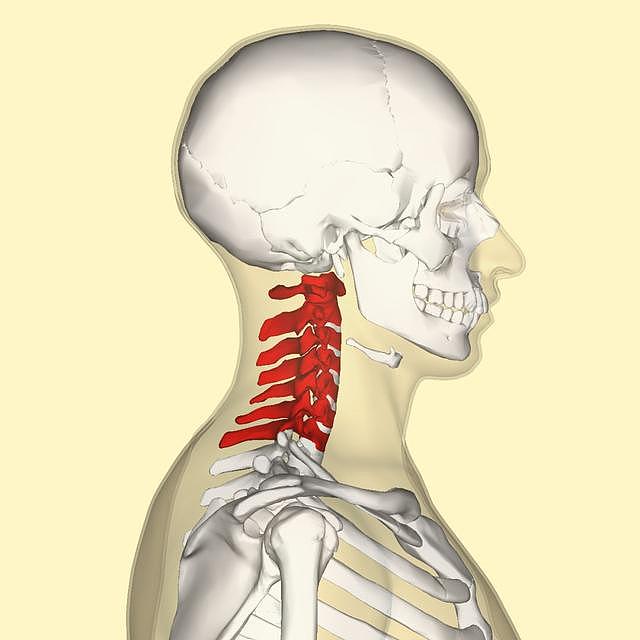 有的人活着，他的颈椎已经死了……