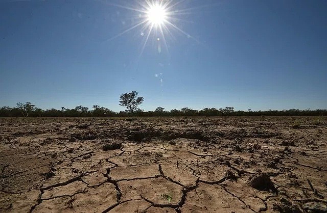热热热！专家：澳洲将迎来史上最热夏天，连续高温5个月，极限生存模式开启 - 12
