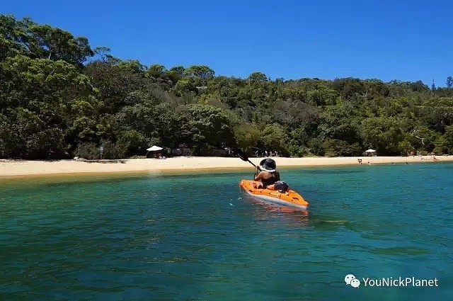 让我们荡起双桨►悉尼12款Kayaking胜地任君选择！ - 7