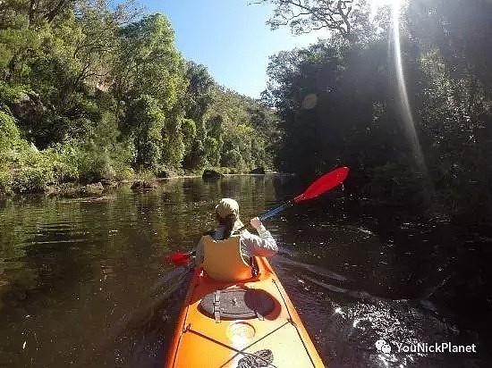让我们荡起双桨►悉尼12款Kayaking胜地任君选择！ - 14