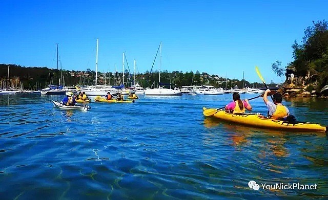 让我们荡起双桨►悉尼12款Kayaking胜地任君选择！ - 28