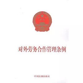 又是他们！河北小伙花了8.5万，来新西兰却差点被“杀鸡儆猴”？！（组图） - 12