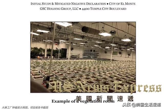 大型大麻工厂或将入驻华人聚居地 华人抗议（组图） - 1