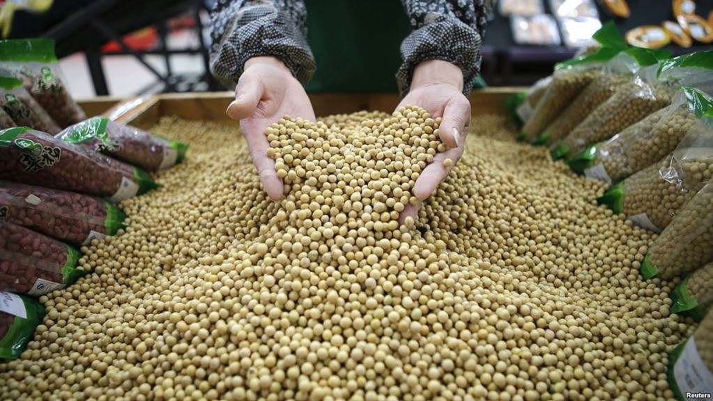 中国武汉工人正筛选美国大豆（路透社）