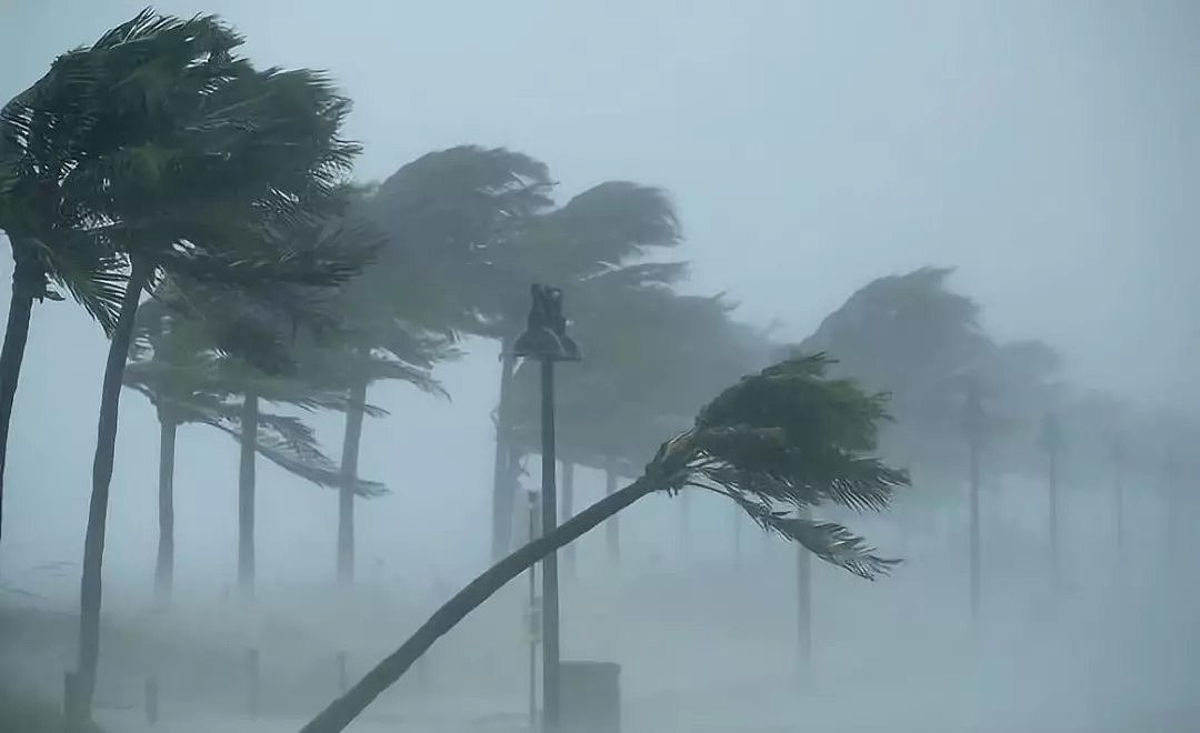 注意！僵尸飓风席卷澳洲！悉尼狂风暴雨，维州昆州惨被蹂躏！（组图/视频） - 39