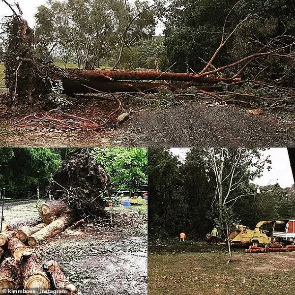 注意！僵尸飓风席卷澳洲！悉尼狂风暴雨，维州昆州惨被蹂躏！（组图/视频） - 40