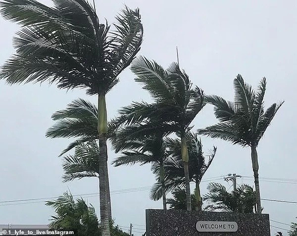 注意！僵尸飓风席卷澳洲！悉尼狂风暴雨，维州昆州惨被蹂躏！（组图/视频） - 42