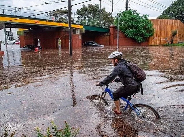 墨尔本当选全球最浪城市！马路变水路，开车变划船，这样墨尔本人还乐呵呵去看了露天演唱会...（组图） - 23