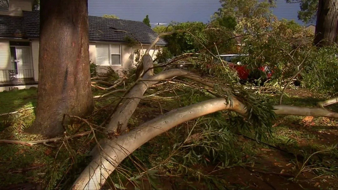 5.5万户仍未通电！悉尼遭狂风雷暴袭击，11万住户企业大断电！今天下午可能还有雷雨！（组图） - 19