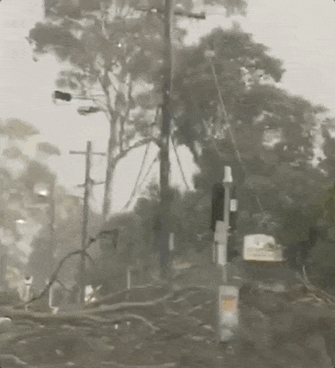 5.5万户仍未通电！悉尼遭狂风雷暴袭击，11万住户企业大断电！今天下午可能还有雷雨！（组图） - 22
