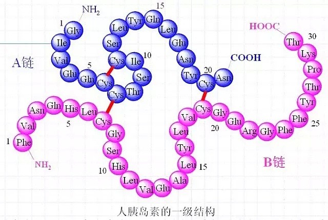 宁愿不要工资也要待在实验室，唯一一位两获诺贝尔化学奖的科学巨匠是如何炼成的！ - 12